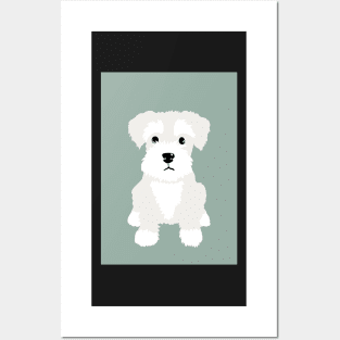 White Miniature Schnauzer Puppy Dog Posters and Art